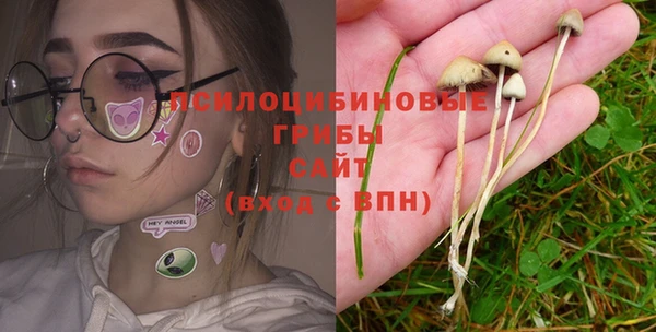метадон Арсеньев