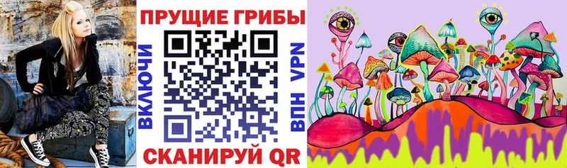 Псилоцибиновые грибы GOLDEN TEACHER  Калач-на-Дону 